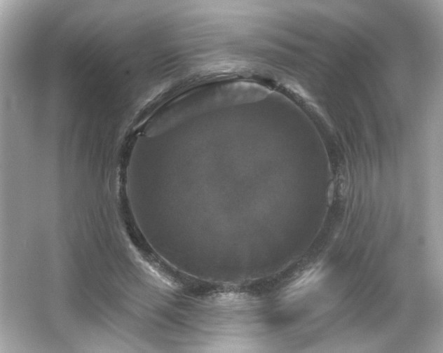 X0000066510637200603171153
