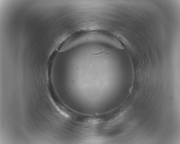 X0000066510638200603171153
