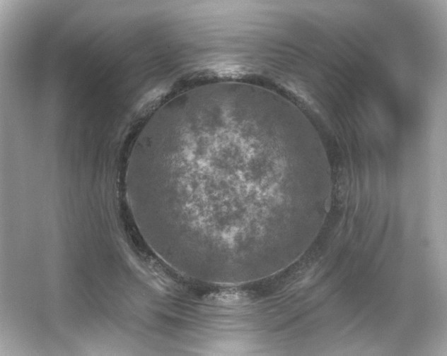 X0000066510639200603171153