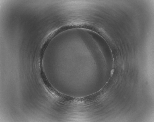 X0000066510640200603171153