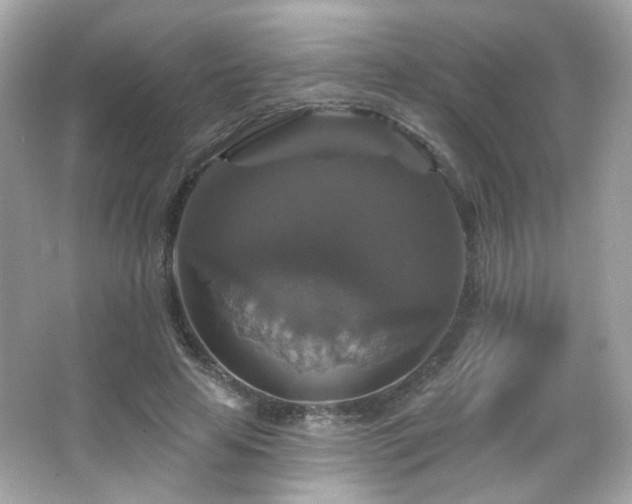 X0000066510641200603171153