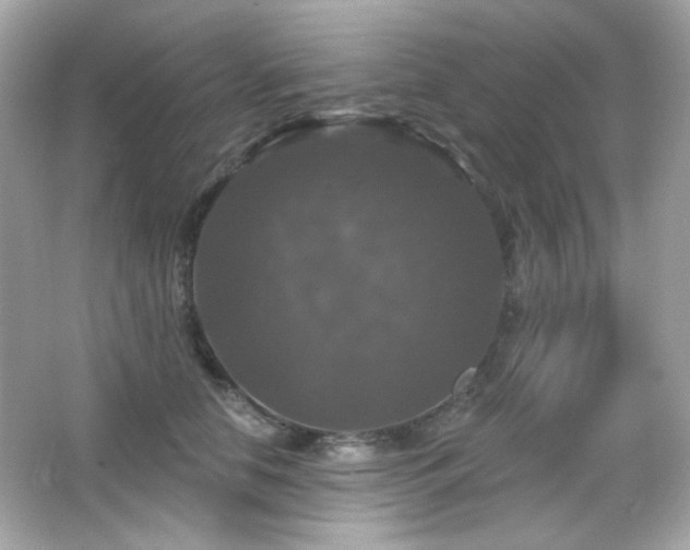 X0000066510658200603171153
