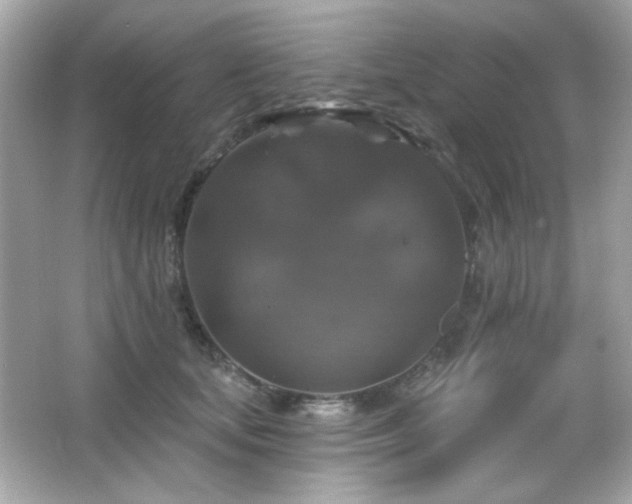 X0000066510659200603171153