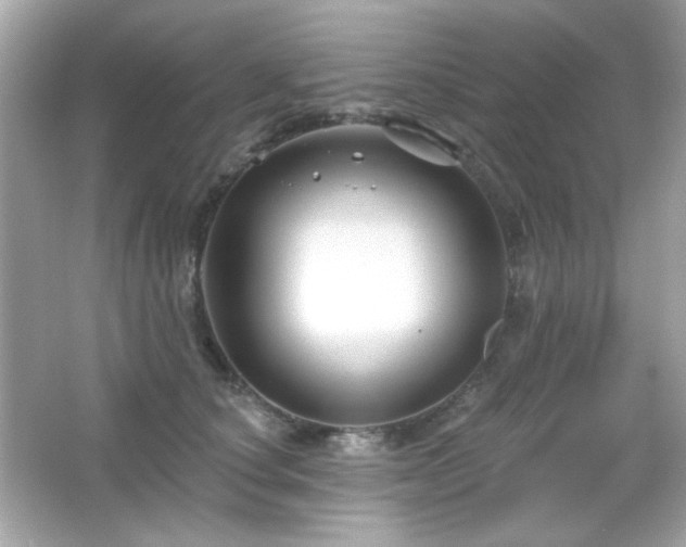 X0000066510660200603171153