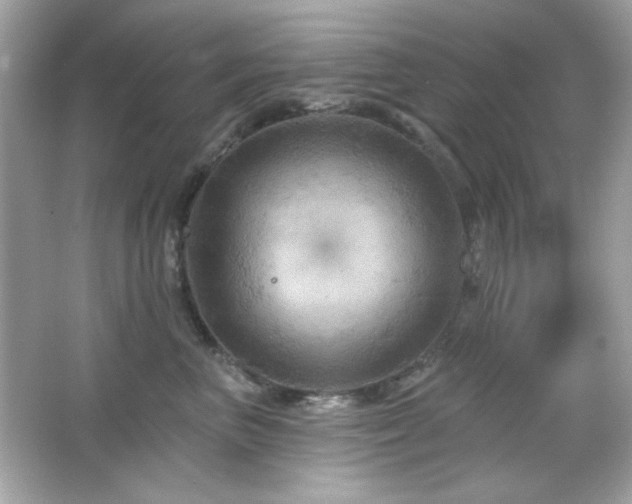 X0000066510667200603171153