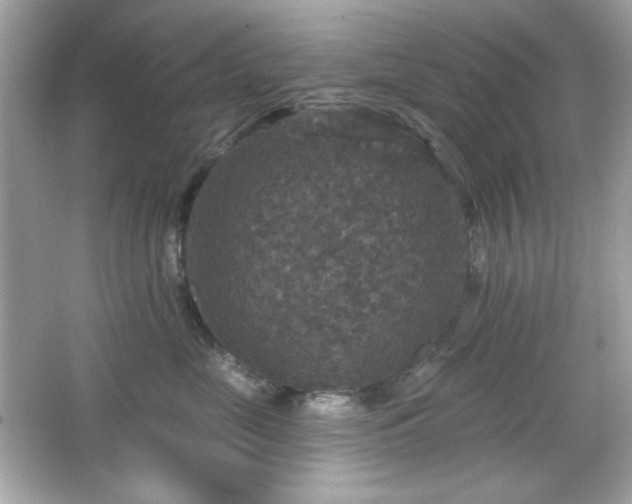 X0000066510669200603171153