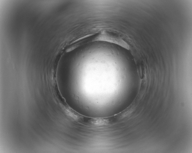 X0000066510670200603171153