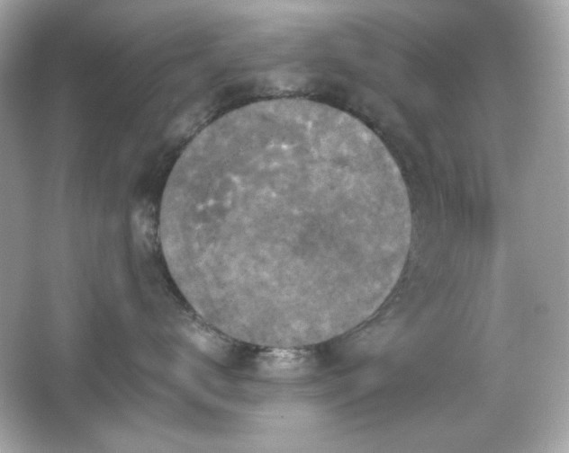 X0000066510672200603171153