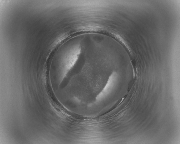 X0000066510675200603171153