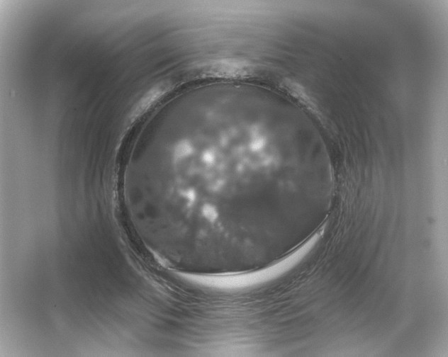 X0000066510679200603171153