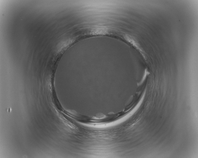 X0000066510681200603171152