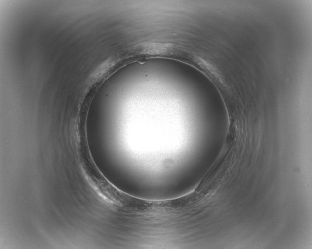 X0000066510682200603171152