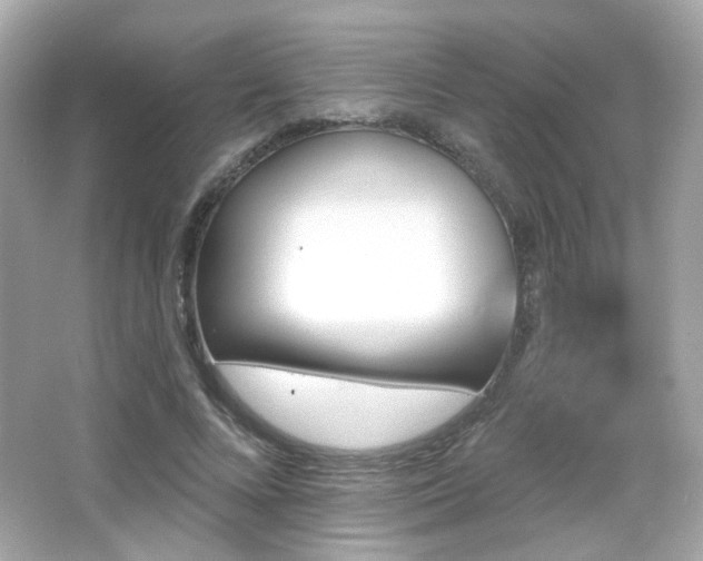 X0000066510688200603171152