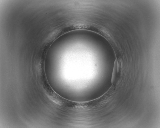 X0000066510690200603171152