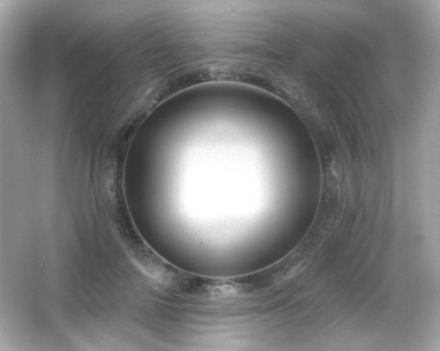 X0000066510698200603171152