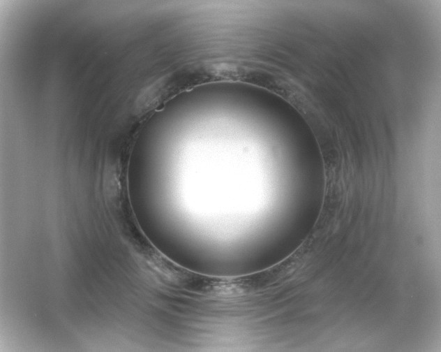 X0000066510702200603171152