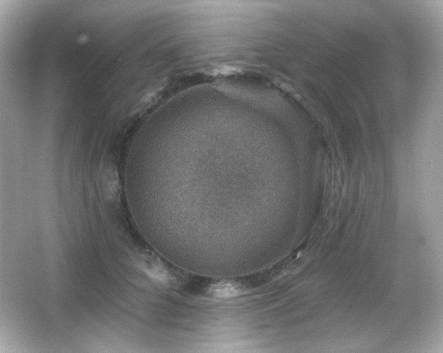 X0000066510704200603171152