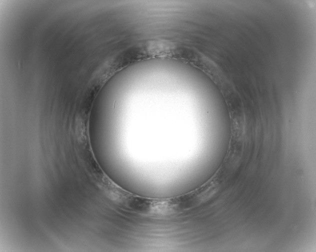 X0000066510705200603171152