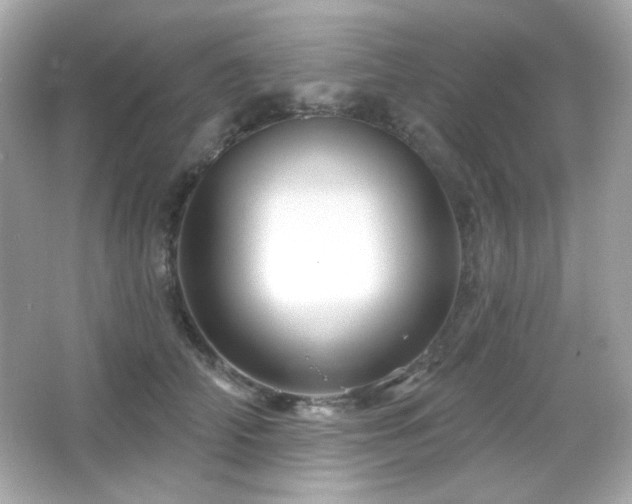 X0000066510706200603171152