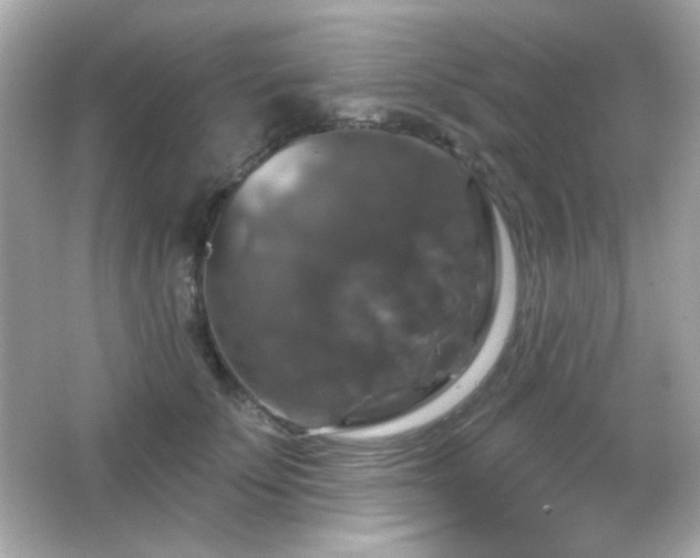 X0000066510707200603171152