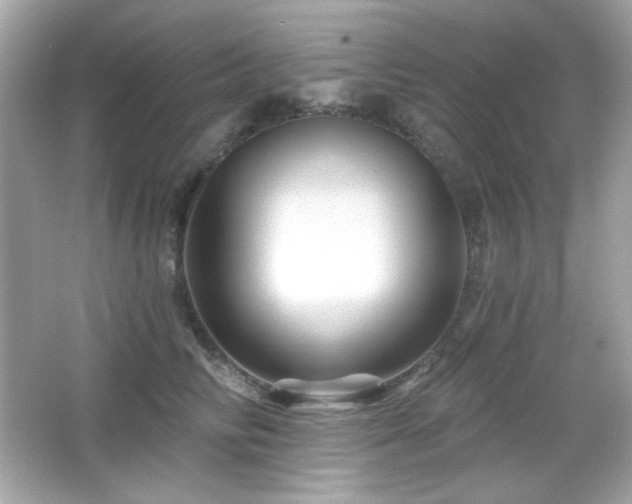 X0000066510710200603171152