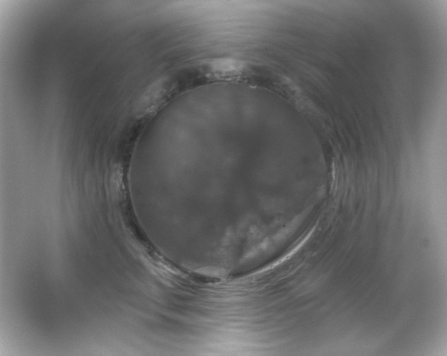 X0000066510711200603171152