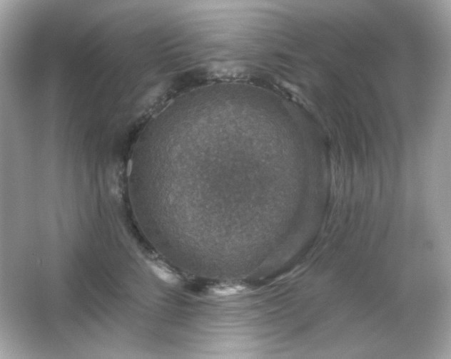 X0000066510712200603171152