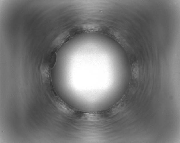 X0000066510713200603171152