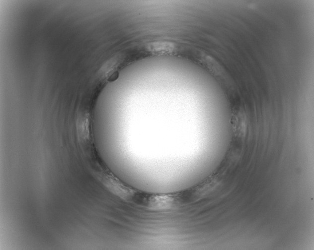 X0000066510717200603171152