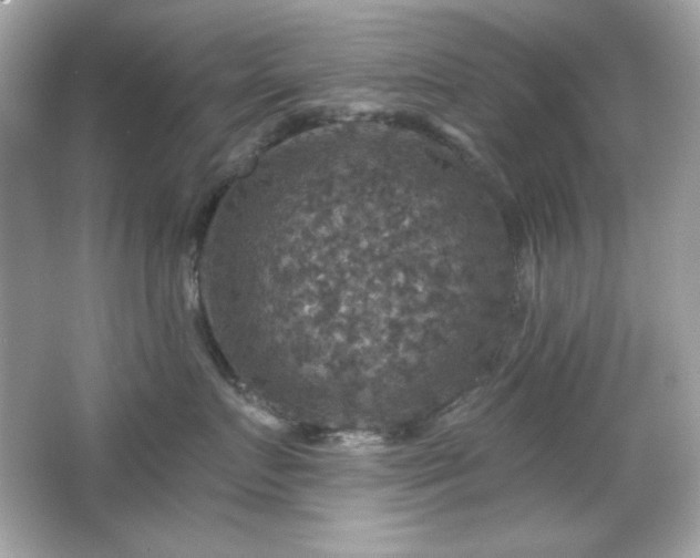 X0000066510719200603171152