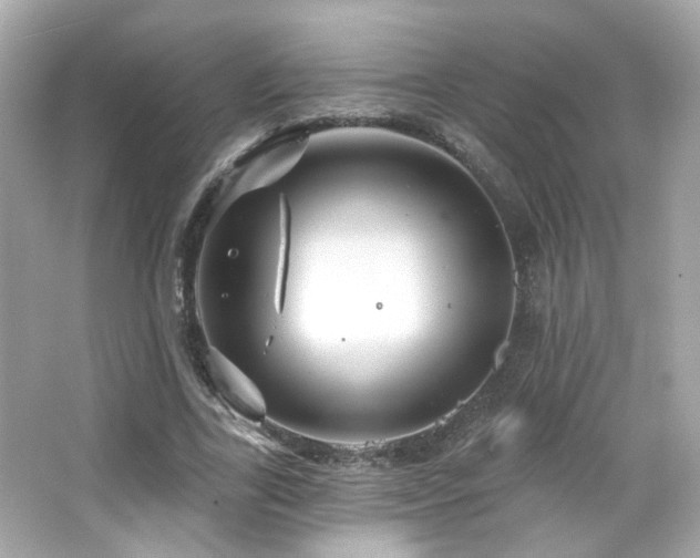 X0000066510731200603171151