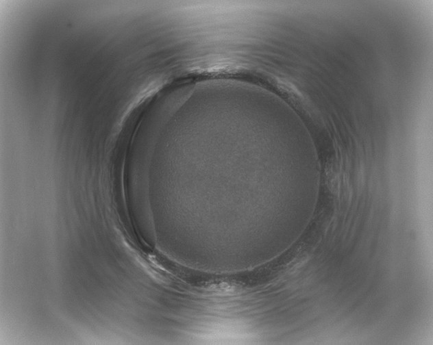 X0000066510735200603171151