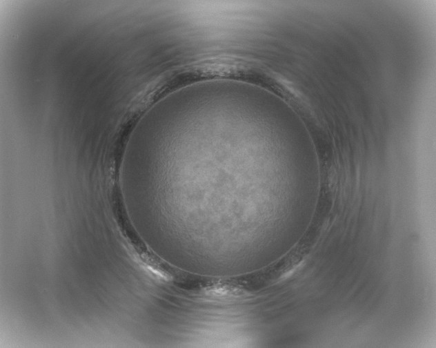 X0000066510737200603171151