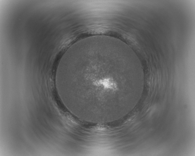 X0000066510743200603171151