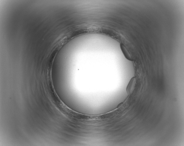 X0000066510744200603171151