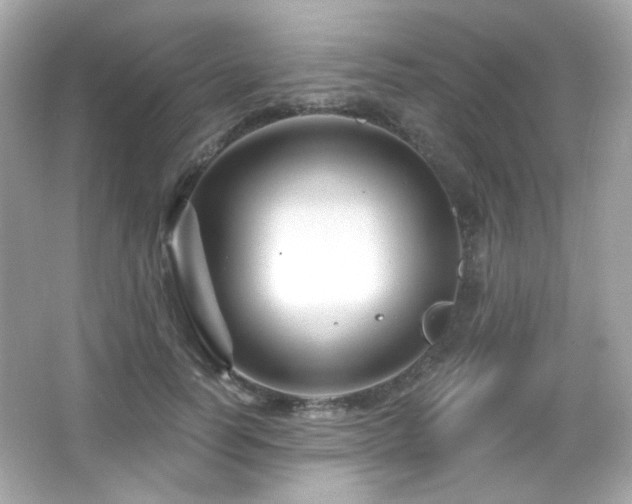 X0000066510746200603171151
