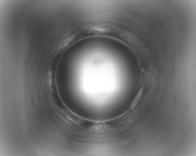 X0000066510752200603171152