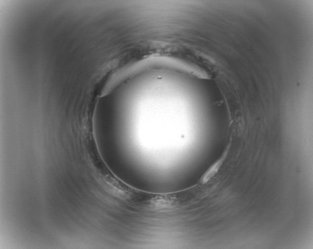 X0000066510756200603171152