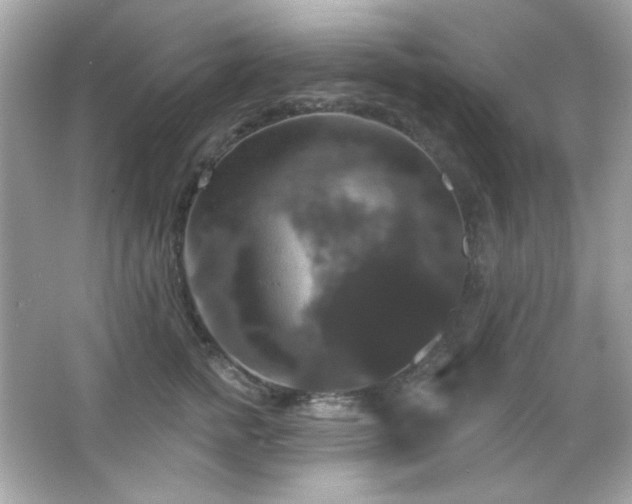 X0000066510758200603171152