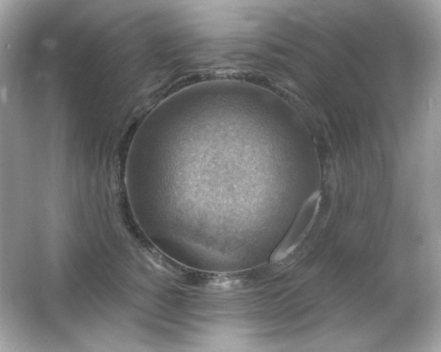 X0000066510760200603171152