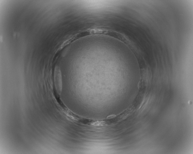 X0000066510761200603171152