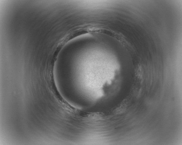 X0000066510763200603171152