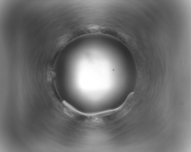 X0000066510768200603171152