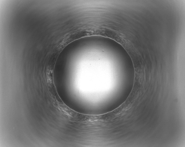 X0000066510770200603171151