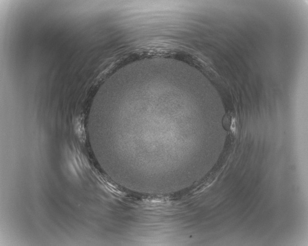 X0000066510771200603171151