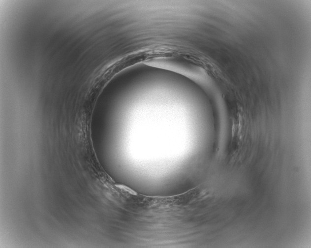 X0000066510773200603171151