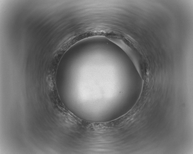 X0000066510774200603171151