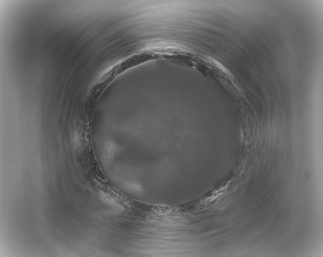 X0000066510775200603171151