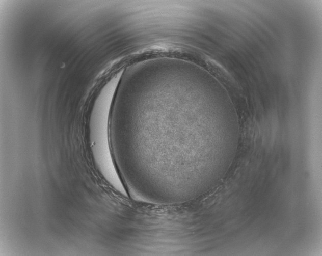 X0000066510776200603171151