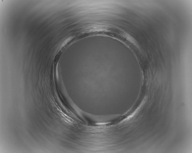 X0000066510777200603171151